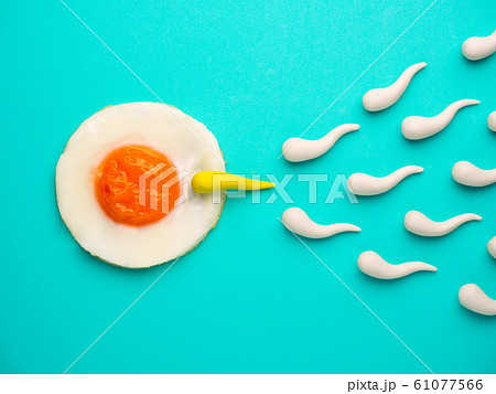 Sperm competition go to fried egg 61077566