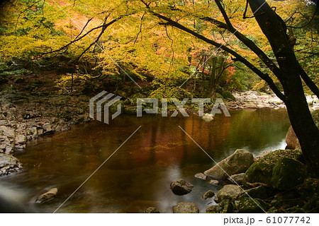 晩秋の滑床渓谷 晩秋の滑床渓谷 61077742