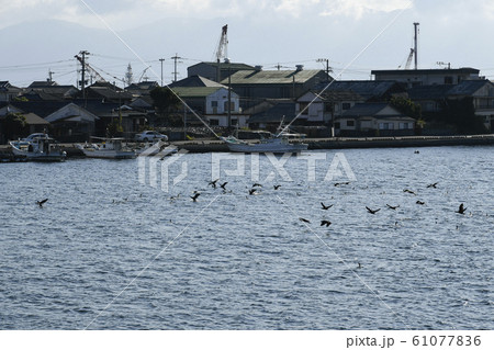 鹿児島県指宿市山川金生町の山川港 鹿児島県指宿市の鹿児島湾入口 鹿児島県指宿市山川金生町の山川港 鹿児島県指宿市の鹿児島湾入口 61077836