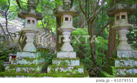 苔むした寺の灯籠 61079551