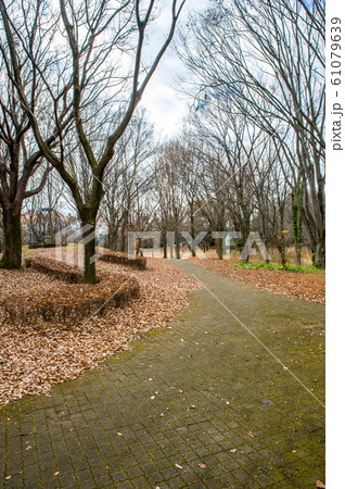 12月正午過ぎ栃木県宇都宮市 清原南公園ないの風景 12月正午過ぎ栃木県宇都宮市 清原南公園ないの風景 61079639