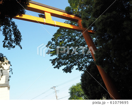 川越氷川神社　大鳥居 61079695