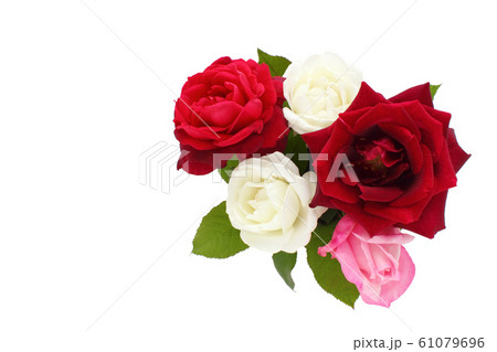 バラのアレンジ（横）（切り抜き）（パパメイアン、ヴィルゴ、クリスチャンディオール、他） 61079696