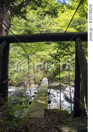 夕森公園 61079829