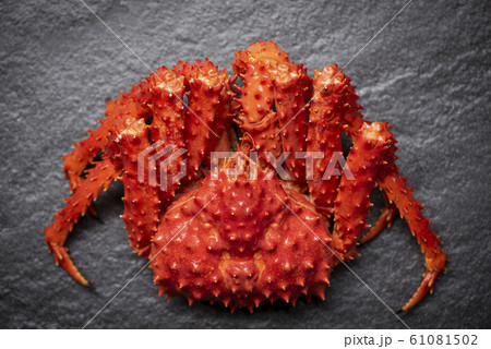 Alaskan King Crab Cooked steam or Boiled seafood 61081502