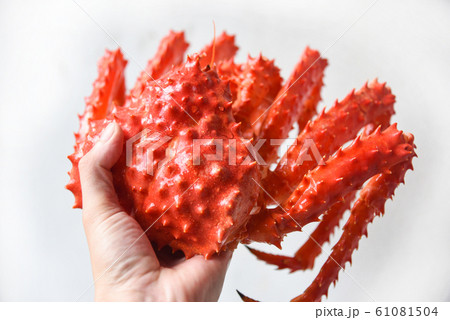 Alaskan King Crab Cooked steam or Boiled seafood 61081504