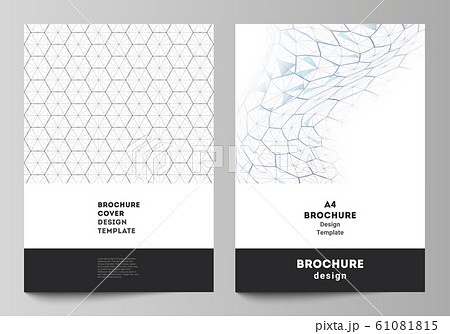 Vector layout of A4 format cover mockups design templates for brochure, flyer. Digital technology and big data concept with hexagons, connecting dots and lines, polygonal science medical background. 61081815