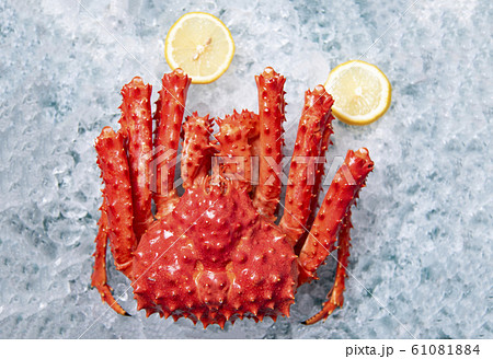 Alaskan King Crab on ice with lemon background top 61081884