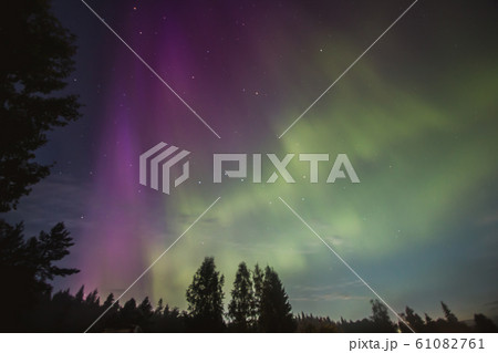 Beautiful aurora borealis, nothern lights in Karelia, Russia Beautiful aurora borealis, nothern lights in Karelia, Russia 61082761