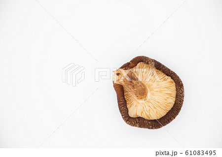 白背景の干しシイタケ 61083495