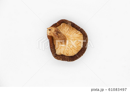 白背景の干しシイタケ 白背景の干しシイタケ 61083497