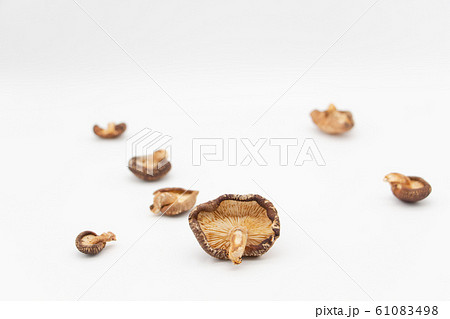 白背景の干しシイタケ 61083498