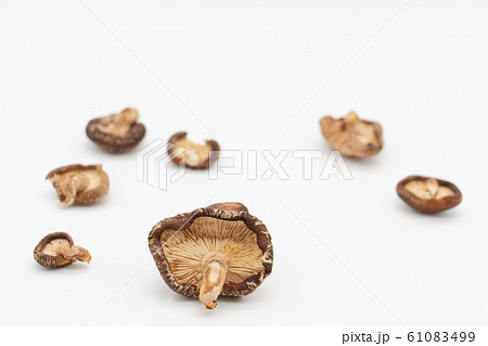 白背景の干しシイタケ 白背景の干しシイタケ 61083499