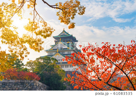Osaka Castle building with colorful maple leaves 61083535