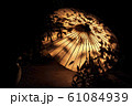 百華百彩 61084939