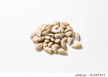 ひまわりの種 61085815