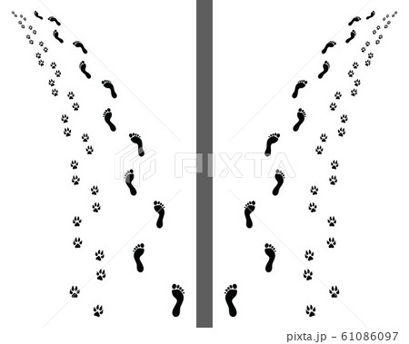 Footprints of man and dog on a white background, turn left or right, vector Footprints of man and dog on a white background, turn left or right, vector 61086097