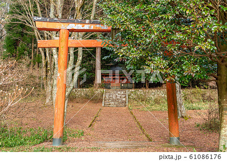 鳥見神社 61086176
