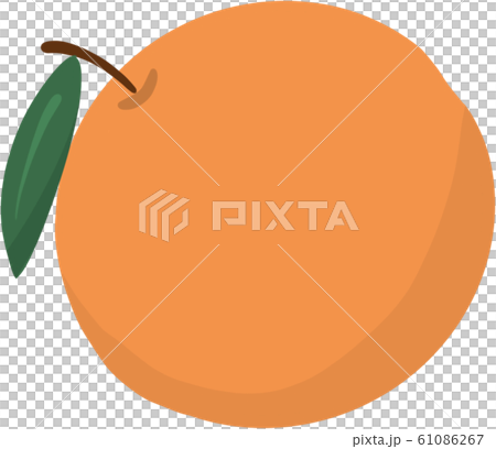 大吉大利 橘子 中國新年 61086267