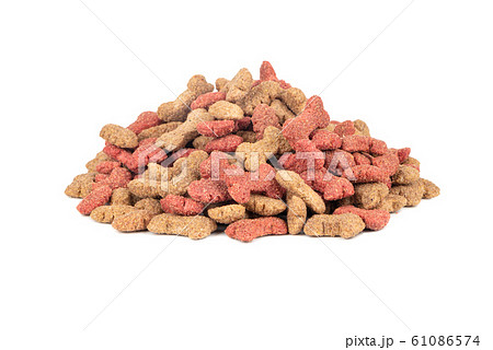 Dry dog food Dry dog food 61086574