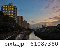 千葉県松戸市坂川付近の風景 61087380