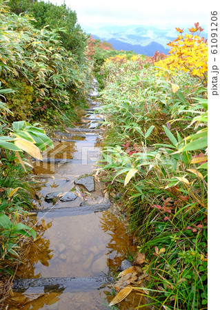 栗駒山の水浸しになった須川コース登山道 栗駒山の水浸しになった須川コース登山道 61091206