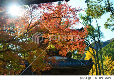 布引の秋 61091889