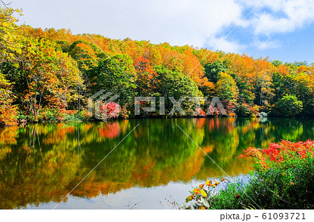 妙高・仙人池の紅葉 妙高・仙人池の紅葉 61093721