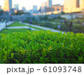 植え込みとビル群 61093748