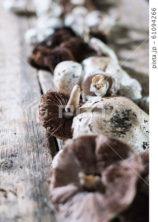 Edible fresh champignon mushrooms on wooden table Edible fresh champignon mushrooms on wooden table 61094266