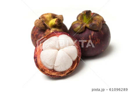 Closeup of purple mangosteen on white background Closeup of purple mangosteen on white background 61096289