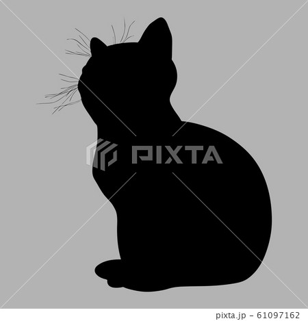 Cat Silhouette Vector Illustration Black Cat Onのイラスト素材