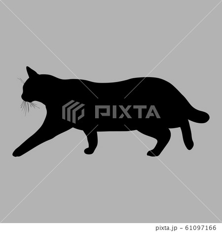 Cat silhouette. Vector illustration. Black cat on 61097166