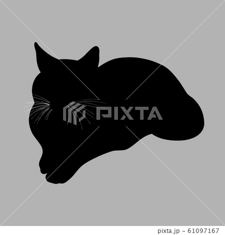 Cat silhouette. Vector illustration. Black cat on Cat silhouette. Vector illustration. Black cat on 61097167