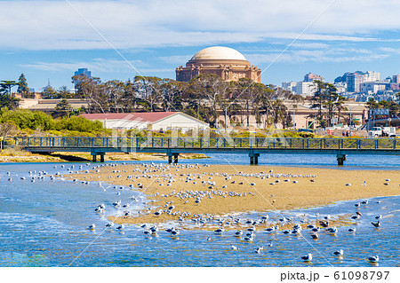 Palace of Fine Arts, San Francisco, California, USA Palace of Fine Arts, San Francisco, California, USA 61098797