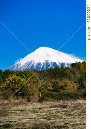 富士宮市から富士山を望む＜12月＞ 61099224