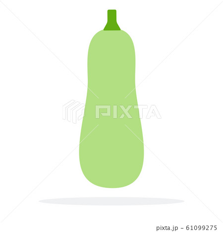 Green squash 61099275