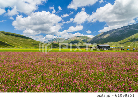 Piano Grande mountain plateau, Umbria, Italy Piano Grande mountain plateau, Umbria, Italy 61099351