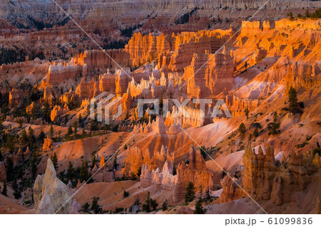 Bryce Canyon National Park from Sunrise Point, Utah, USA Bryce Canyon National Park from Sunrise Point, Utah, USA 61099836