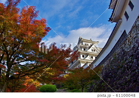 郡上八幡城もみじまつりの風景 61100048