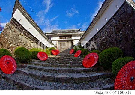 郡上八幡城もみじまつりの風景 61100049