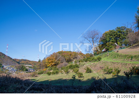 晩秋景色 農村風景 本庄市児玉町付近 晩秋景色 農村風景 本庄市児玉町付近 61100928