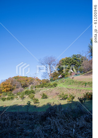晩秋景色 農村風景 本庄市児玉町付近 晩秋景色 農村風景 本庄市児玉町付近 61100946