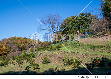 晩秋景色 農村風景 本庄市児玉町付近 晩秋景色 農村風景 本庄市児玉町付近 61100947