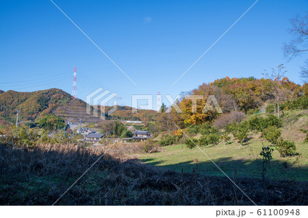 晩秋景色 農村風景 本庄市児玉町付近 晩秋景色 農村風景 本庄市児玉町付近 61100948