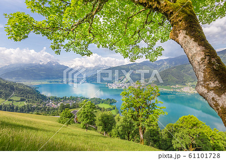 Zell am See, Salzburger Land, Austria Zell am See, Salzburger Land, Austria 61101728