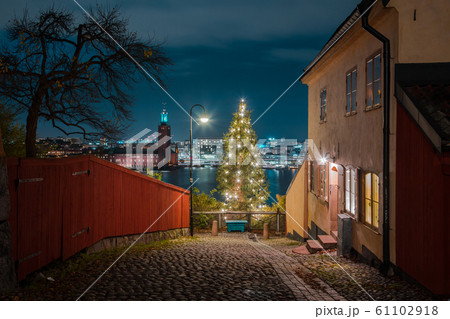 Historic city center of Stockholm with town hall at night, Sweden, Scandinavia 61102918