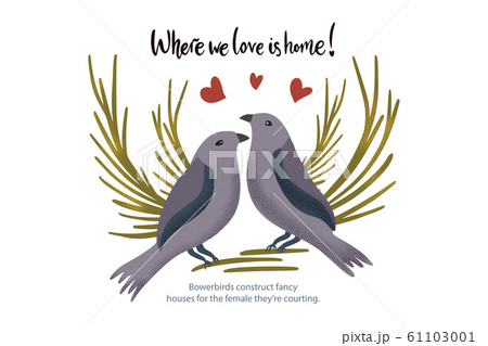 Valentine love vector textured card. 61103001