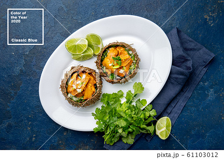 Color of 2020 year. Classic Blue. Seafood trendy background. Sea Urchins caviar in shell with onion 61103012