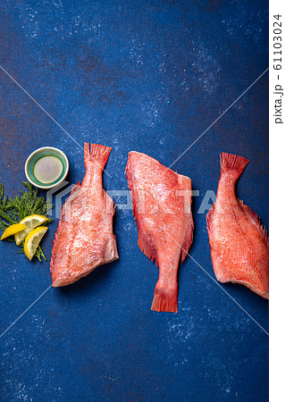 Fresh red sea bass on blue background. Top view, copy space Fresh red sea bass on blue background. Top view, copy space 61103024